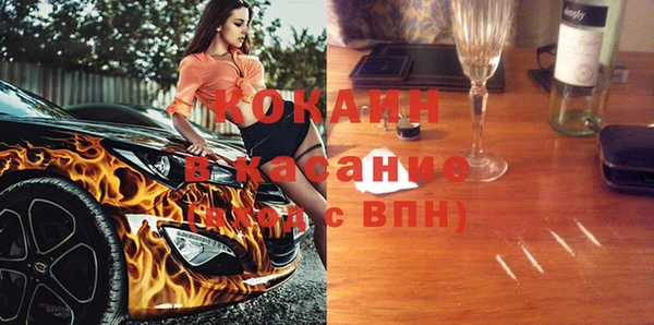 винт Алзамай