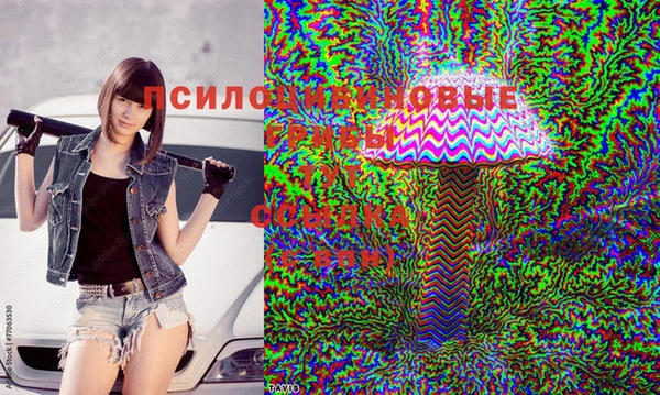 прущие крисы Алексин